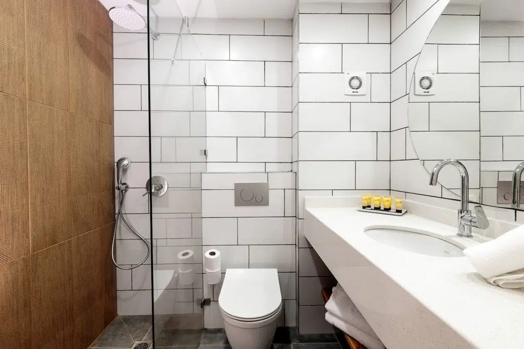 ערבה-4-1024x683-1